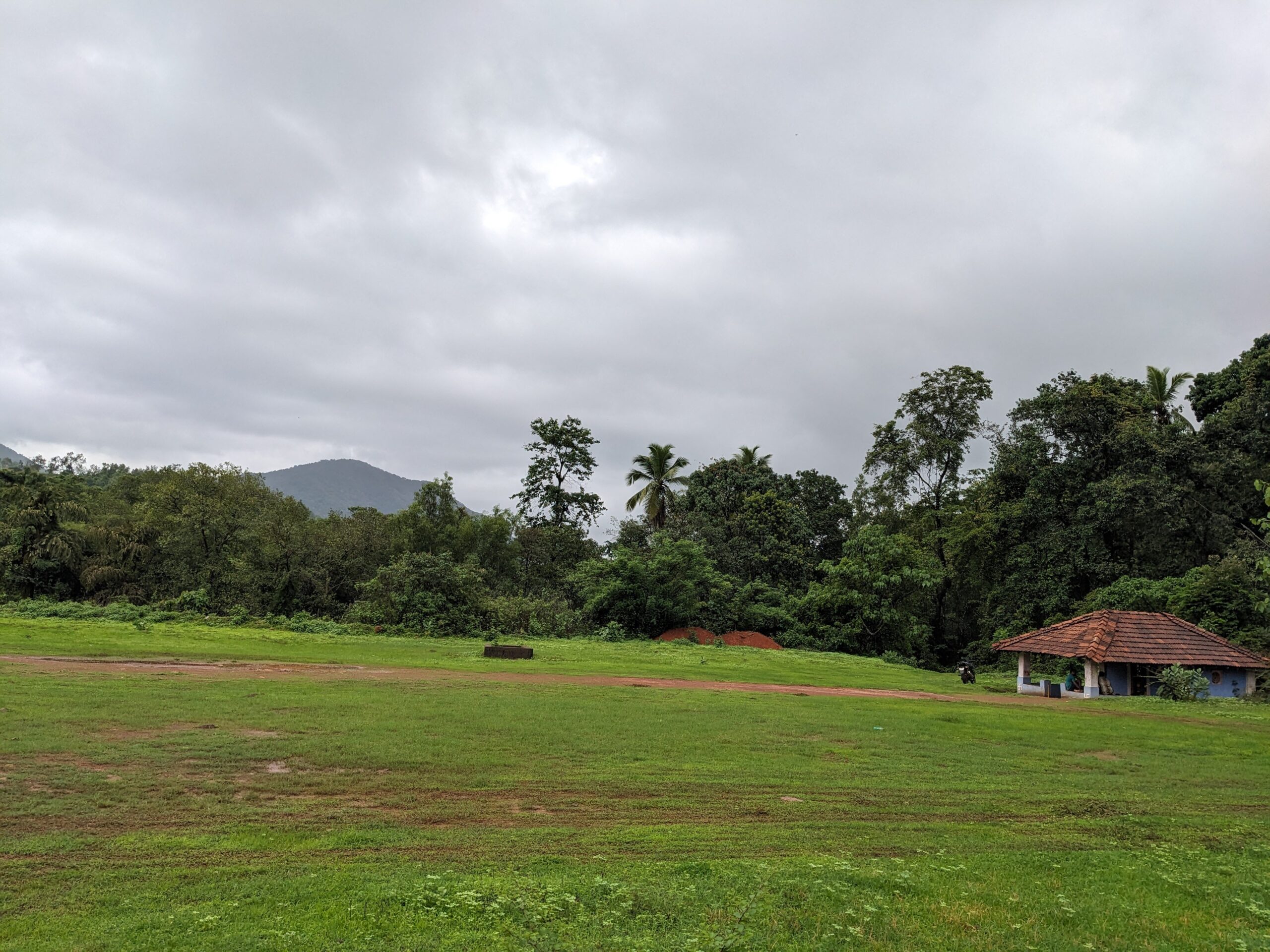 Regeneration Through Ecotourism: How Local Economies and Conservation Can Grow Together